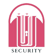 WII Security